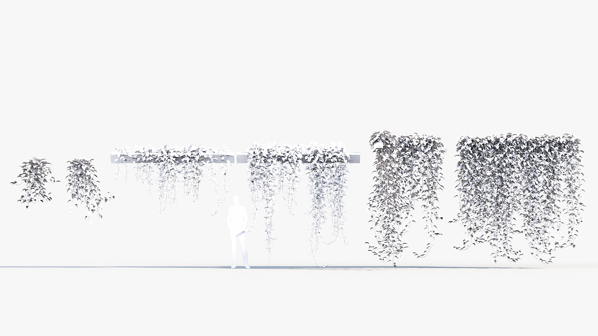 BC_PM_P07_Epipremnum_aureum_Wire