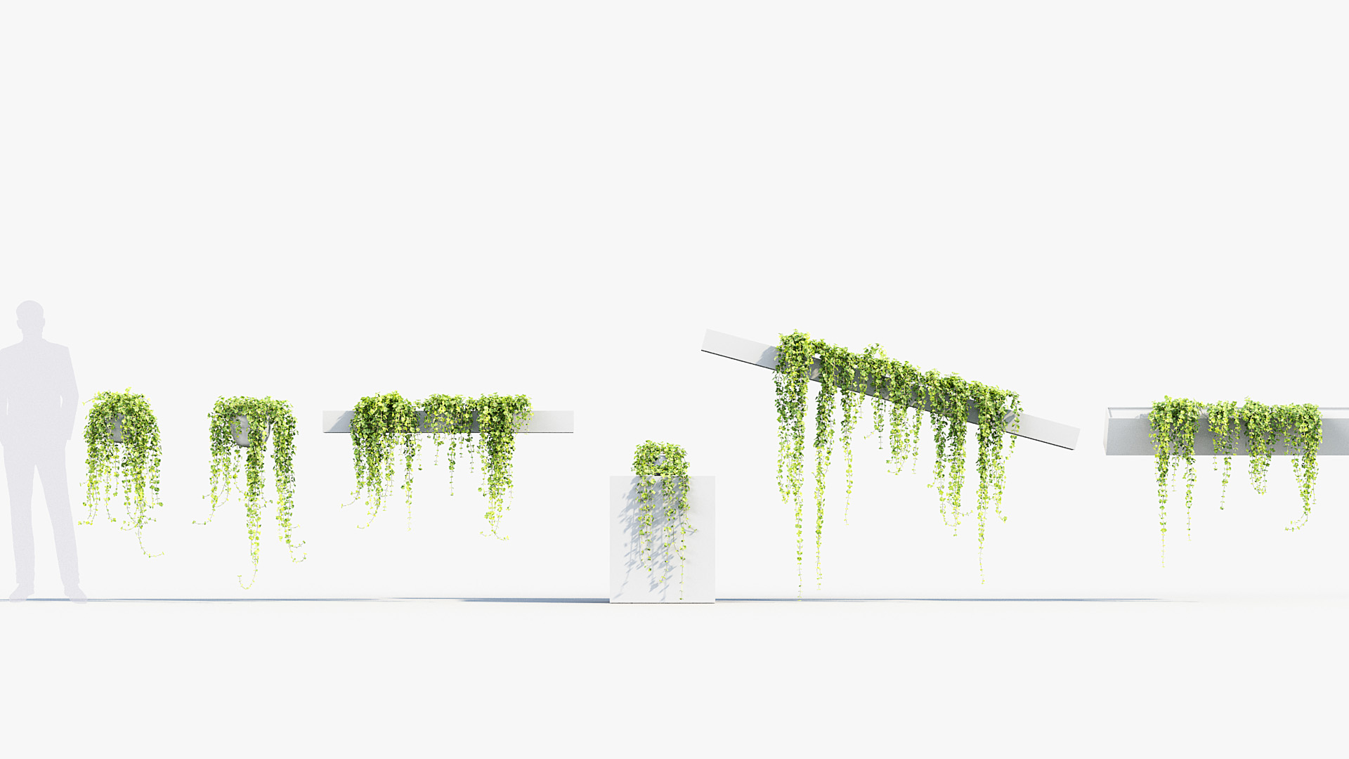 BC_PM_P07_Piela_depressa_01