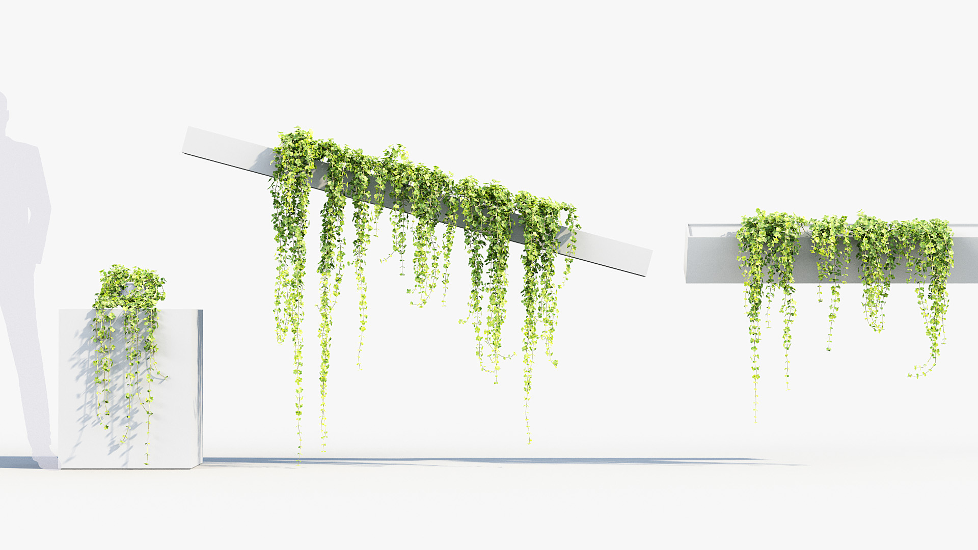 BC_PM_P07_Piela_depressa_03