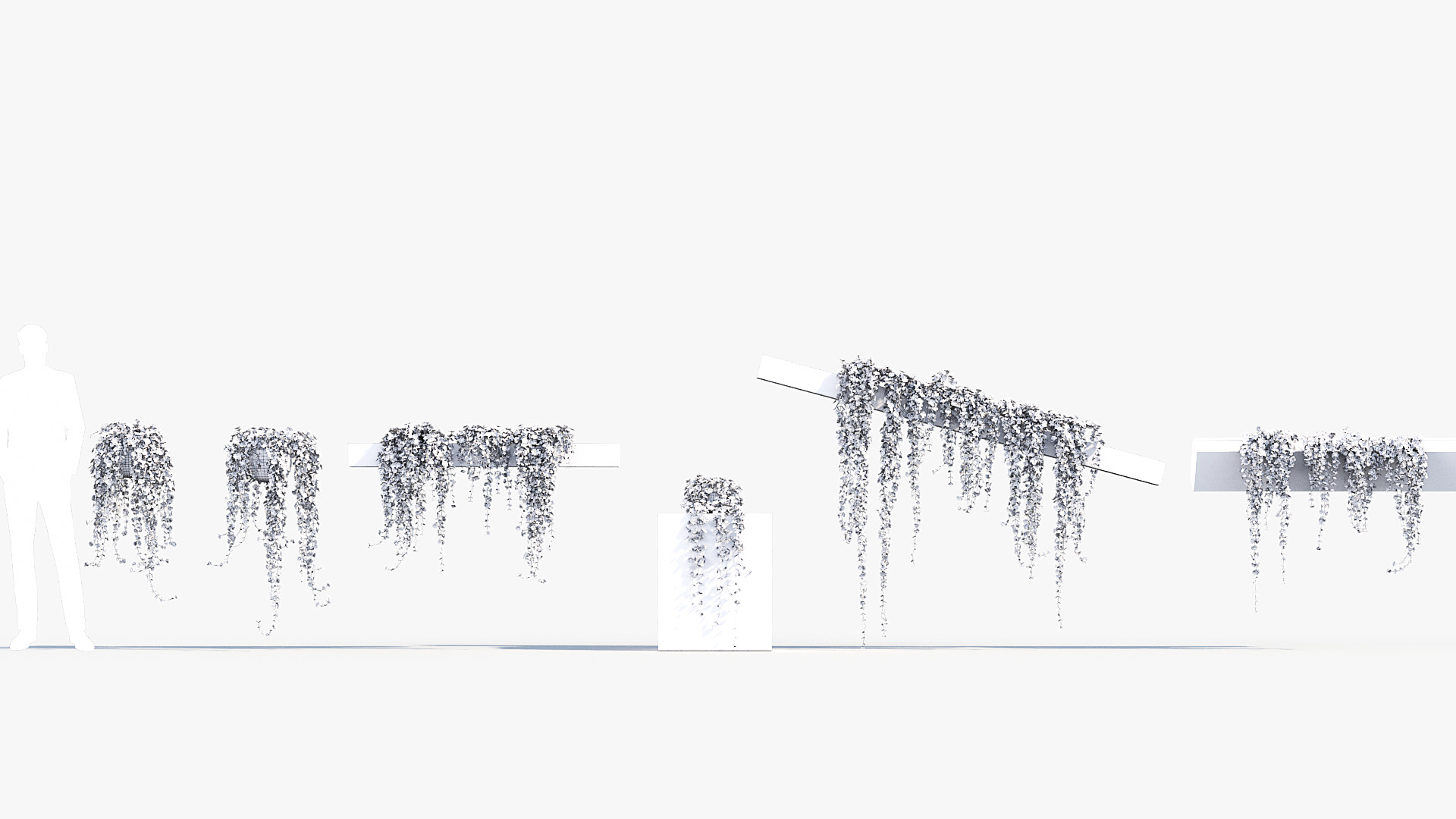 BC_PM_P07_Piela_depressa_Wire