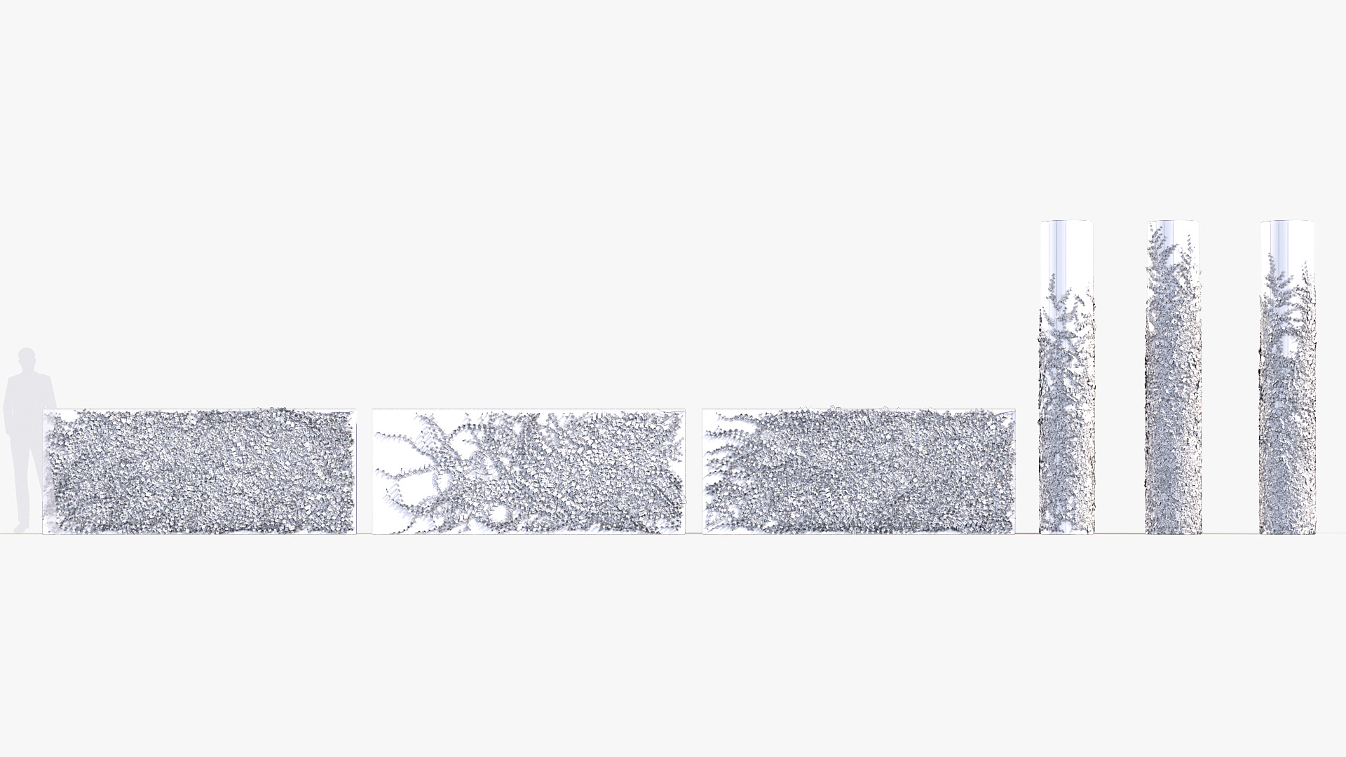 BC_PM_P012_Ficus_pumila_01_Wire