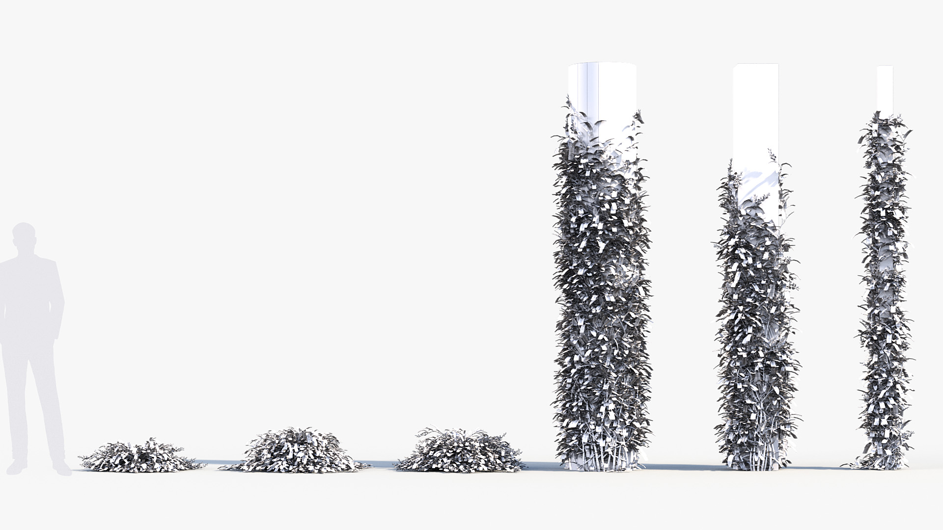 BC_PM_P012_Hardenbergia_violacea_01_Wire