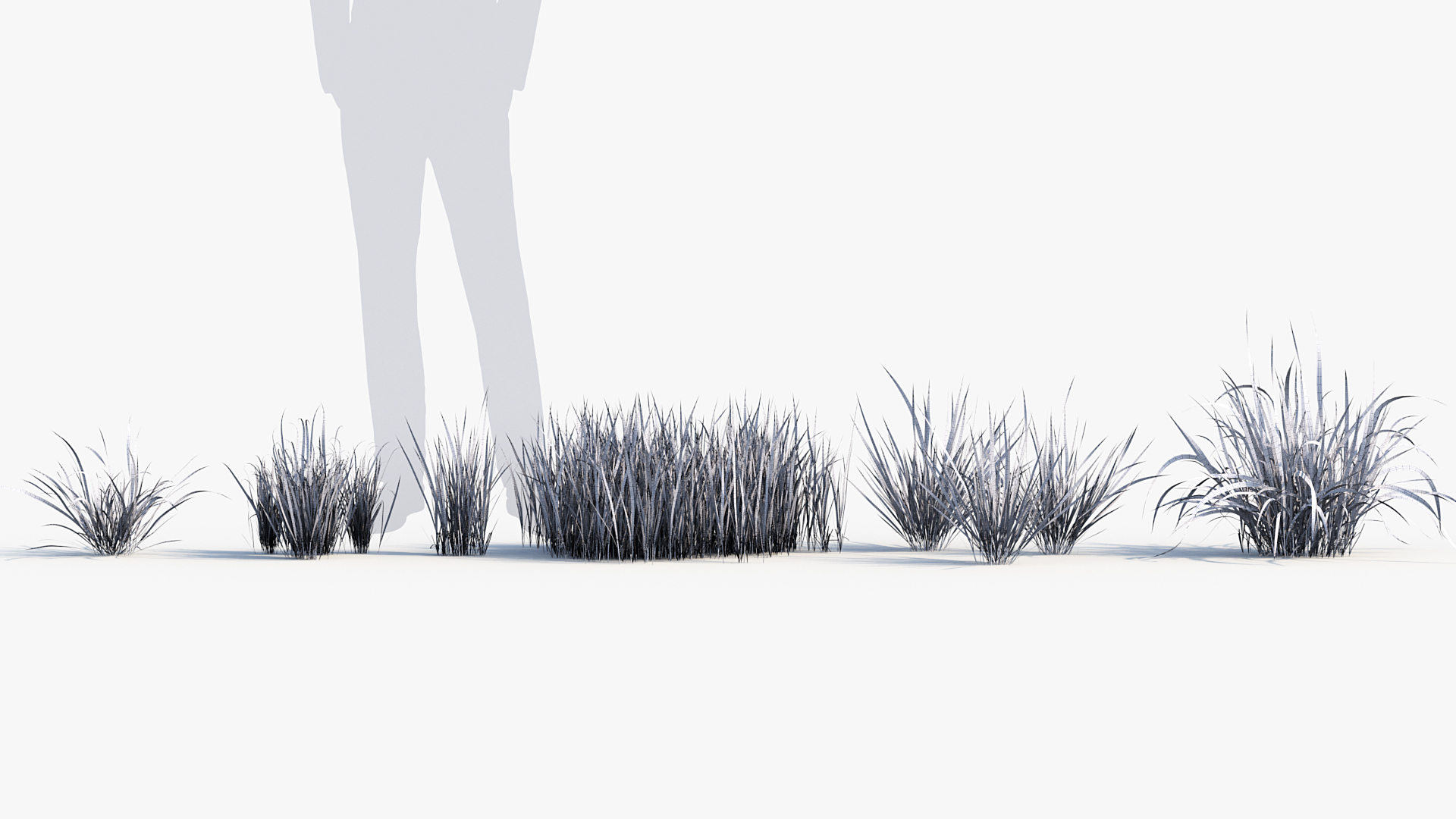 BC_PM_P013_Imperata_cylindrical_rubra_Wire