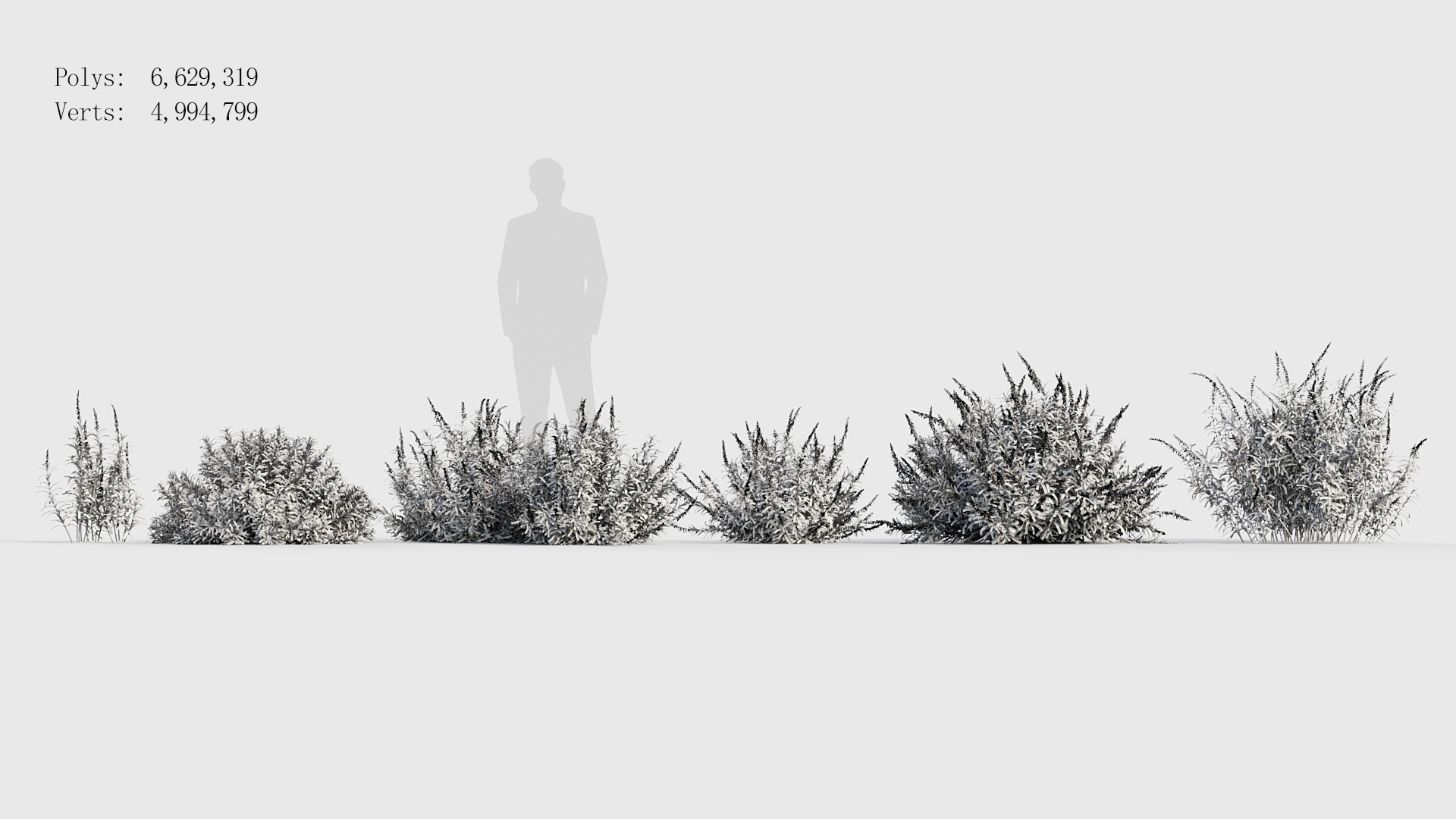 BC_PM_P017_Mexican_Bush_Sage_Wire