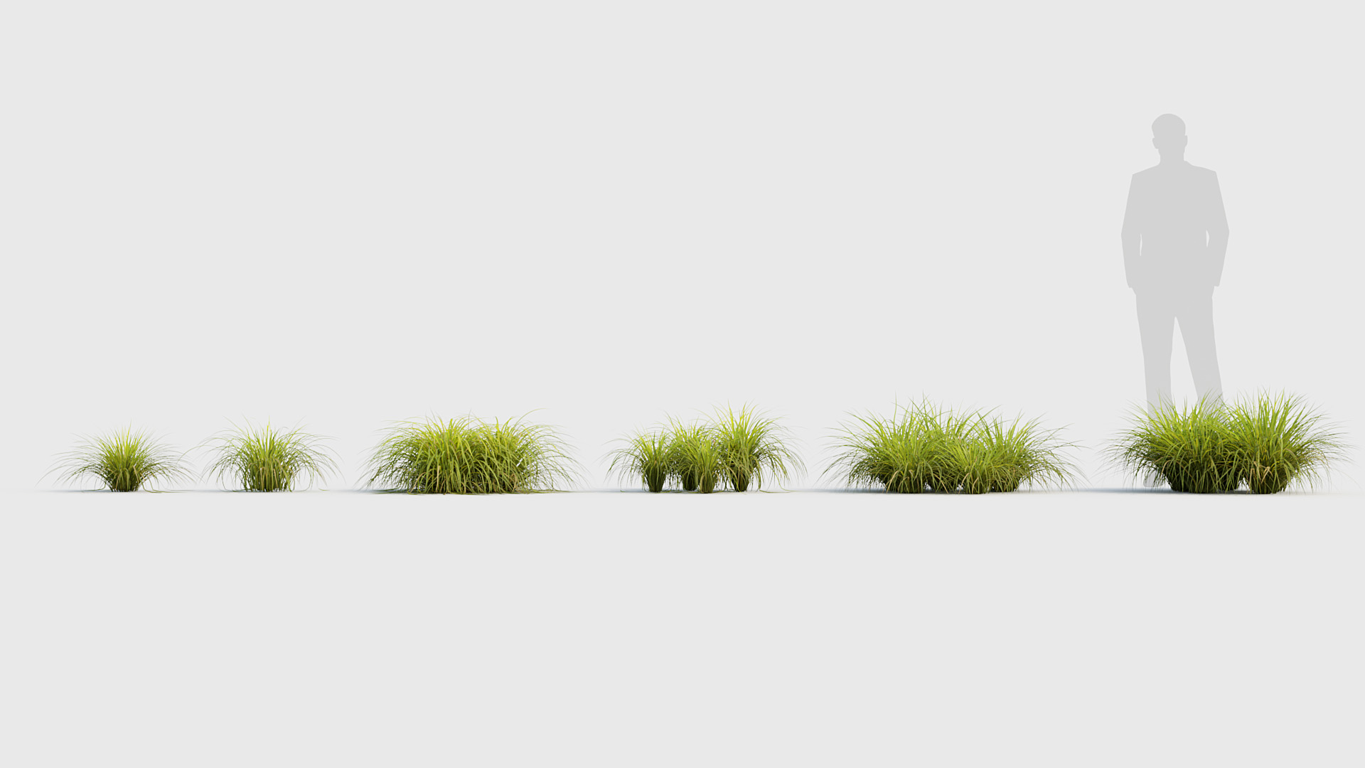 BC_PM_P020_Sweet_flag_01_01