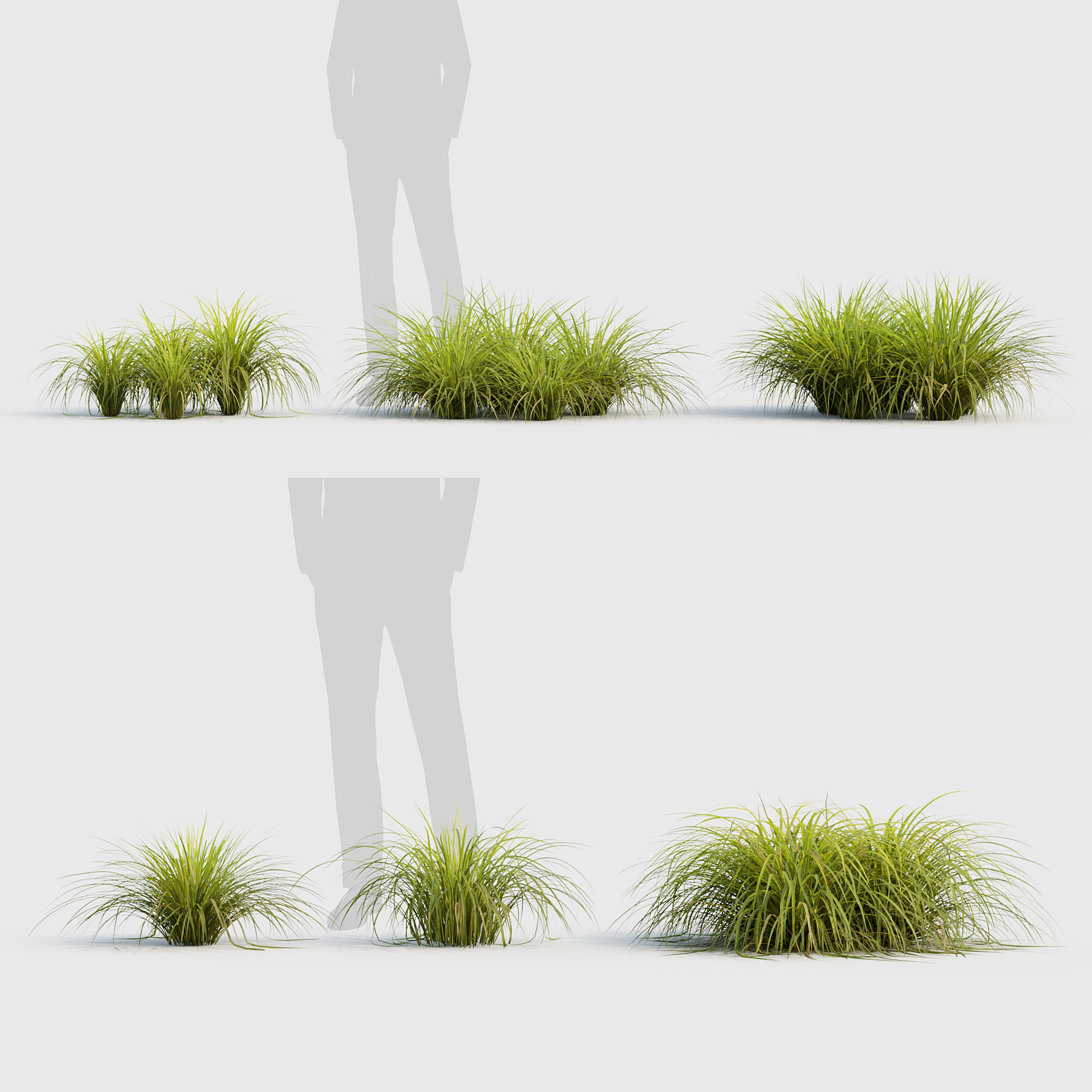 BC_PM_P020_Sweet_flag_01_PRV