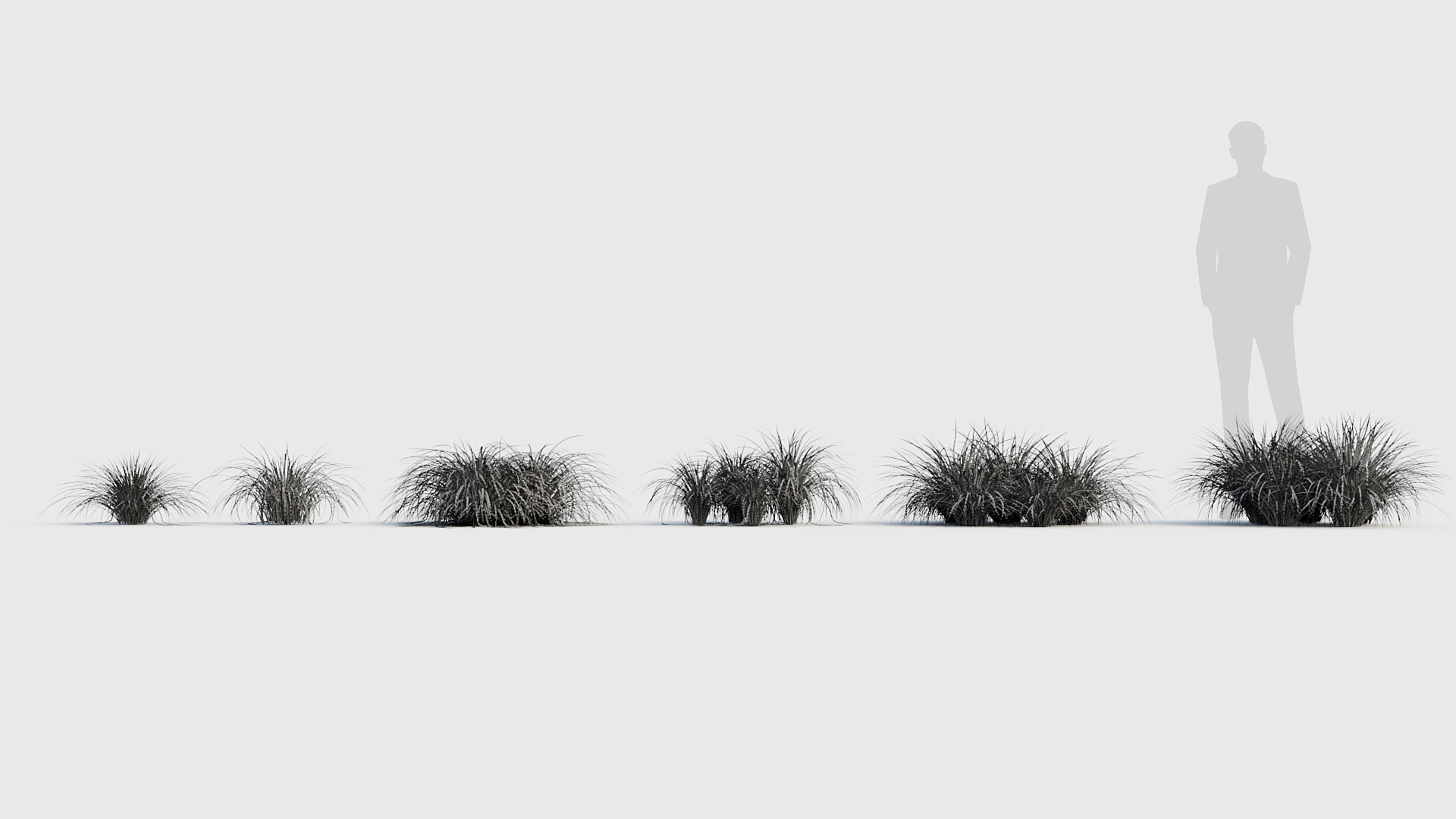 BC_PM_P020_Sweet_flag_01_Wire