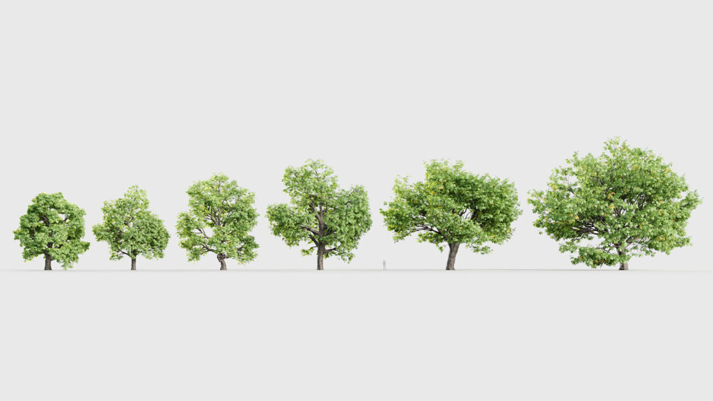 Plant Package 16 – Large Trees – Free 3D model for design.